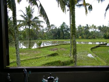 RIZIERES:  VUE DE VOTRE SALLE DE BAIN