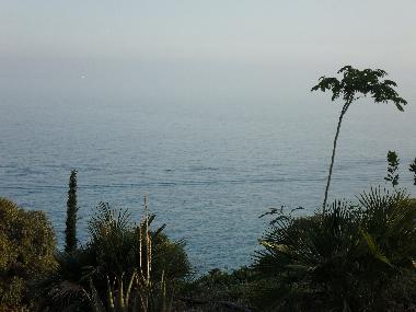 Villa /en/au Piani Cipressa (Imperia)ou appartement ou maison de vacances