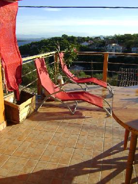 Maison de vacances /en/au Sali (Zadarska)ou appartement ou maison de vacances