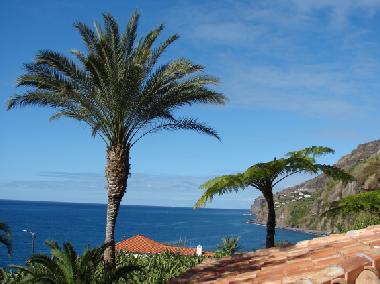 Maison de vacances /en/au Calheta (Madeira)ou appartement ou maison de vacances