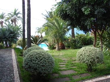 Maison de vacances /en/au Calheta (Madeira)ou appartement ou maison de vacances