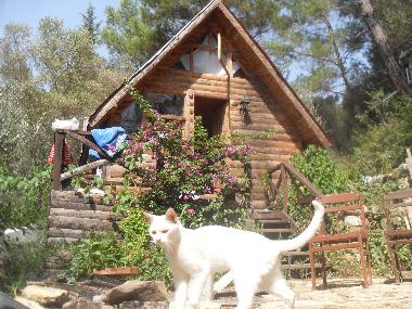 Chalet �/en/au Olympos (Antalya)ou appartement ou maison de vacances