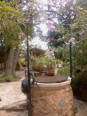 Villa /en/au Palma de mallorca (Mallorca)ou appartement ou maison de vacances