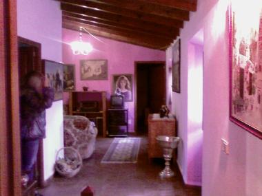 Villa /en/au Palma de mallorca (Mallorca)ou appartement ou maison de vacances