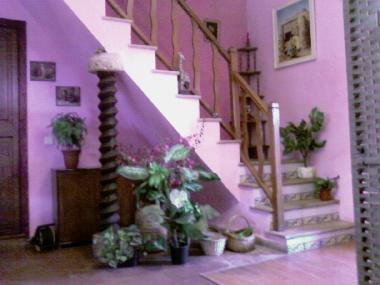 Villa /en/au Palma de mallorca (Mallorca)ou appartement ou maison de vacances