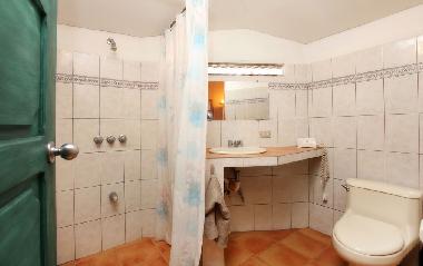 Studio: salle de bains avec douche, toilette, lavabo, s�che chev