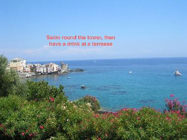 Appartement de vacances /en/au Erbalunga Cap corse (Haute-Corse)ou appartement ou maison de vacances