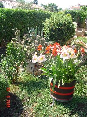 Appartement de vacances /en/au Poreč (Istarska)ou appartement ou maison de vacances