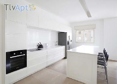 Appartement de vacances �/en/au tel aviv (Tel Aviv)ou appartement ou maison de vacances