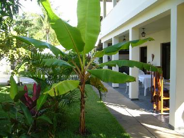 Dans le jardin de la Villa Cactus