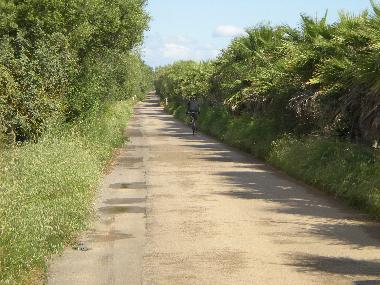 Maison de vacances /en/au Porreres (Mallorca)ou appartement ou maison de vacances