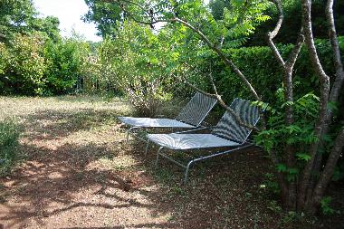 Maison de vacances /en/au St. Cezaire-sur-Siagne (Alpes-Maritimes)ou appartement ou maison de vacances