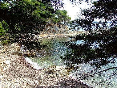 Maison de vacances /en/au St. Cezaire-sur-Siagne (Alpes-Maritimes)ou appartement ou maison de vacances