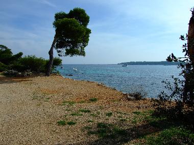 Maison de vacances /en/au St. Cezaire-sur-Siagne (Alpes-Maritimes)ou appartement ou maison de vacances