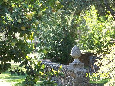 Maison de vacances /en/au Jaraiz de la Vera (Cceres)ou appartement ou maison de vacances