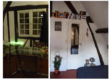 Appartement de vacances /en/au Paris (Paris)ou appartement ou maison de vacances