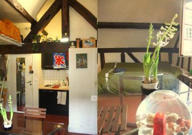 Appartement de vacances /en/au Paris (Paris)ou appartement ou maison de vacances