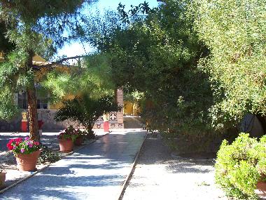 Appartement de vacances /en/au El Campello (Alicante / Alacant)ou appartement ou maison de vacances