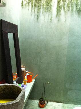 Chalet /en/au Ibiza (Ibiza)ou appartement ou maison de vacances