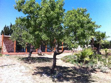 Chalet /en/au Ibiza (Ibiza)ou appartement ou maison de vacances