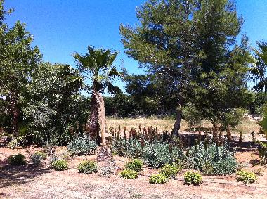 Chalet /en/au Ibiza (Ibiza)ou appartement ou maison de vacances