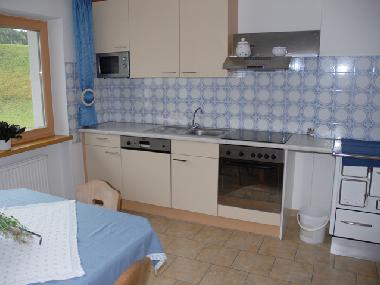 Appartement de vacances /en/au Niederthai (Tiroler Oberland)ou appartement ou maison de vacances