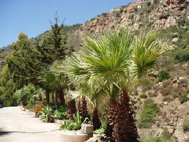 Maison de vacances /en/au CEFALU (Palermo)ou appartement ou maison de vacances