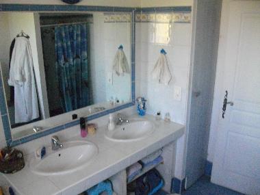 salle de bain avec douche et baignoire