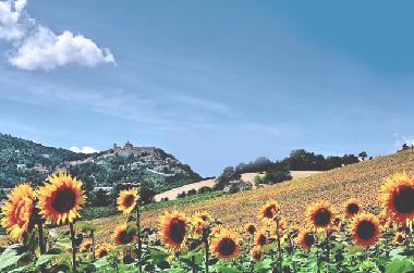 Maison de vacances �/en/au Loretello (Ancona)ou appartement ou maison de vacances