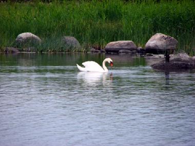 Maison de vacances �/en/au at sea (Saaremaa)ou appartement ou maison de vacances