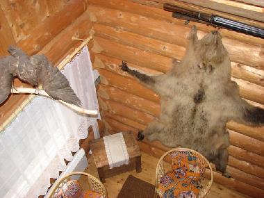 Maison de vacances �/en/au at sea (Saaremaa)ou appartement ou maison de vacances