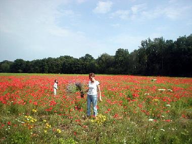 Maison de vacances �/en/au Rannak�la (Saaremaa)ou appartement ou maison de vacances