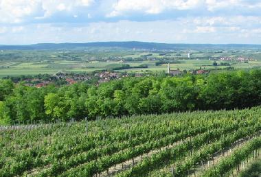Appartement de vacances �/en/au Zellerndorf (Weinviertel)ou appartement ou maison de vacances