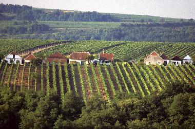 Appartement de vacances �/en/au Zellerndorf (Weinviertel)ou appartement ou maison de vacances