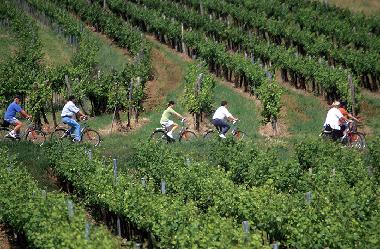 Appartement de vacances /en/au Zellerndorf (Weinviertel)ou appartement ou maison de vacances