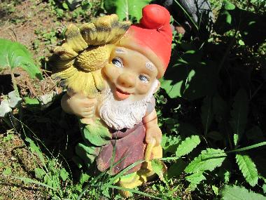 Appartement de vacances /en/au Zellerndorf (Weinviertel)ou appartement ou maison de vacances