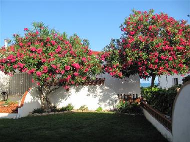 Maison de vacances /en/au Benicarlo (Girona)ou appartement ou maison de vacances