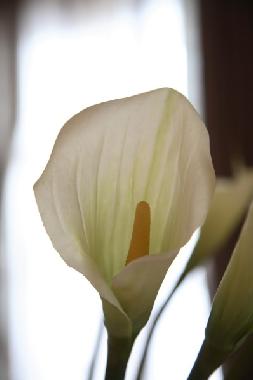 Appartement de vacances /en/au 25019 (Brescia)ou appartement ou maison de vacances