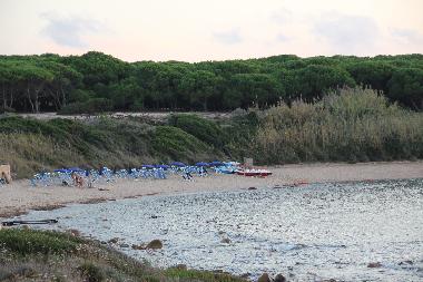 Maison de vacances /en/au Isola Rossa (Gallura )ou appartement ou maison de vacances