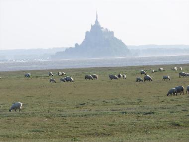 Maison de vacances �/en/au St L�onard (Manche)ou appartement ou maison de vacances