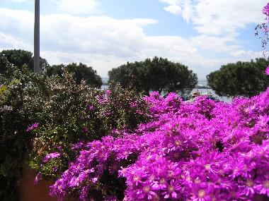 Maison de vacances �/en/au Rosas (Girona)ou appartement ou maison de vacances