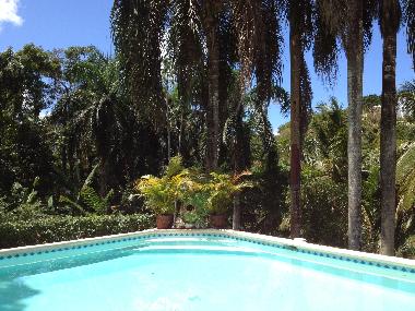 Maison de vacances �/en/au Las Terrenas (Samana)ou appartement ou maison de vacances