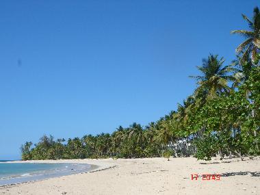Maison de vacances �/en/au Las Terrenas (Samana)ou appartement ou maison de vacances