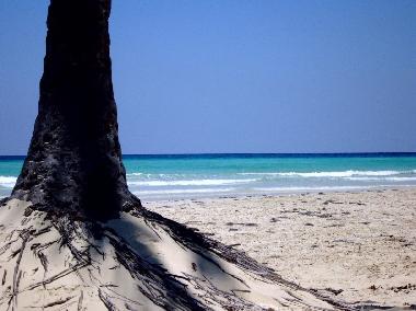 Appartement de vacances �/en/au Havanna - Vedado (Ciudad de la Habana)ou appartement ou maison de vacances