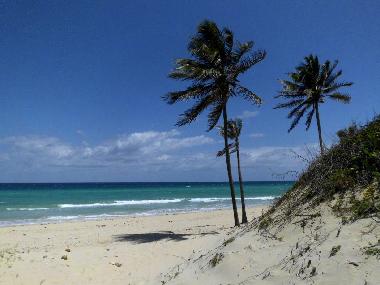 Appartement de vacances �/en/au Havanna - Vedado (Ciudad de la Habana)ou appartement ou maison de vacances