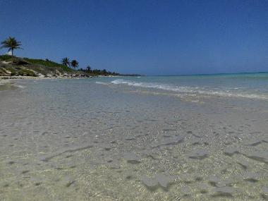 Appartement de vacances �/en/au Havanna - Vedado (Ciudad de la Habana)ou appartement ou maison de vacances