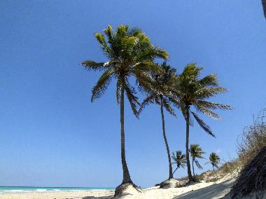 Appartement de vacances �/en/au Havanna - Vedado (Ciudad de la Habana)ou appartement ou maison de vacances