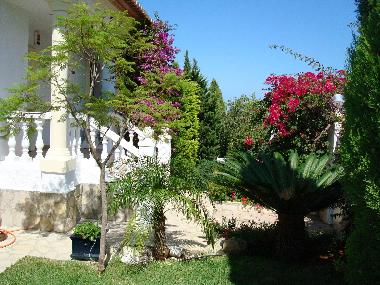Villa �/en/au Denia (Valencia / Val�ncia)ou appartement ou maison de vacances