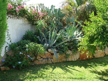 Villa �/en/au Denia (Valencia / Val�ncia)ou appartement ou maison de vacances