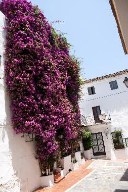 Appartement de vacances �/en/au Marbella (M�laga)ou appartement ou maison de vacances